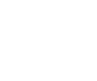 Logo TER CONSULTING S.r.l.s.